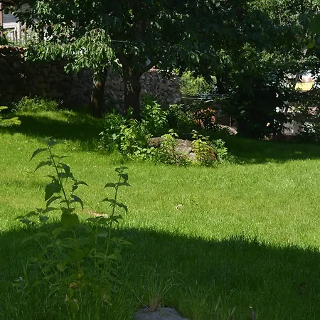 Belasitsa * Petrics